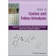 Atlas of Canine and Feline Urinalysis