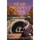Near Prospect Park: A Mary Handley Mystery
