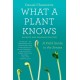 What a Plant Knows: A Field Guide to the Senses: Updated and Expanded Edition