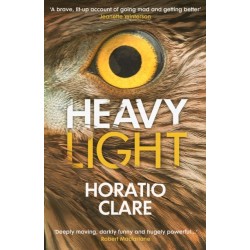 Heavy Light: A Journey Through Madness, Mania and Healing
