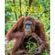 Wild Sabah (2nd edition)