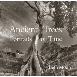 Ancient Trees: Portraits of Time