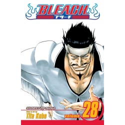 Bleach, Vol. 28: Baron's Lecture Full-Course