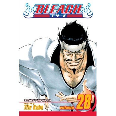 Bleach, Vol. 28: Baron's Lecture Full-Course