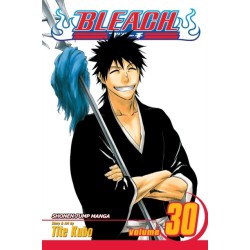Bleach, Vol. 30: There Is No Heart Without You