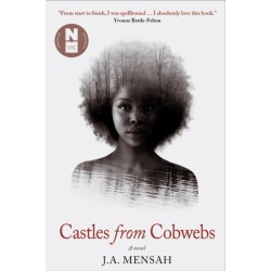 Castles from Cobwebs