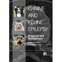 Canine and Feline Epilepsy: Diagnosis and Management