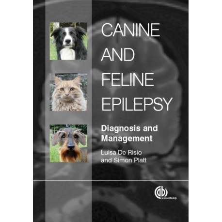 Canine and Feline Epilepsy: Diagnosis and Management