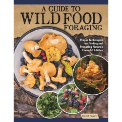 A Guide to Wild Food Foraging: Proper Techniques for Finding and Preparing Nature's Flavorful Edibles