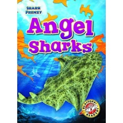 Angel Sharks