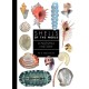 Shells of the World: A Natural History