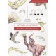 Avian Anatomy 2nd Edition: Textbook and Colour Atlas