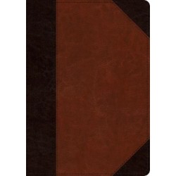 ESV Large Print Wide Margin Bible