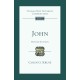 John: Tyndale New Testament Commentary