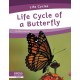 Life Cycle of a Butterfly