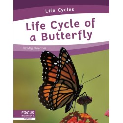 Life Cycle of a Butterfly