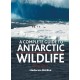 A Complete Guide to Antarctic Wildlife