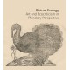 Picture Ecology: Art and Ecocriticism in Planetary Perspective