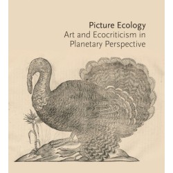 Picture Ecology: Art and Ecocriticism in Planetary Perspective
