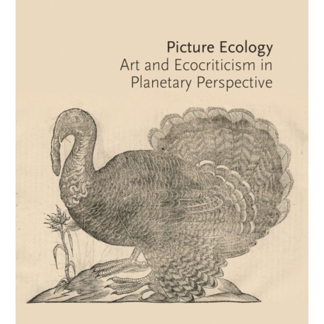 Picture Ecology: Art and Ecocriticism in Planetary Perspective
