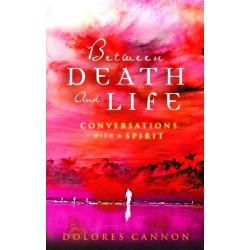 Between Death and Life: Conversations with a Spirit
