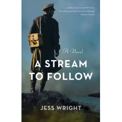 A Stream to Follow: A Novel