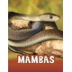 Mambas
