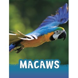 Macaws