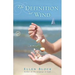The Definition of Wind: A Novel