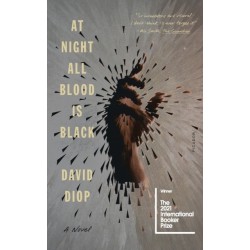 At Night All Blood Is Black: A Novel
