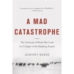 A Mad Catastrophe: The Outbreak of World War I and the Collapse of the Habsburg Empire