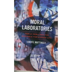 Moral Laboratories: Family Peril and the Struggle for a Good Life