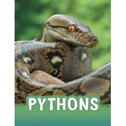 Pythons
