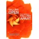 Falling Open in a World Falling Apart: The Essential Teaching of Amoda Maa