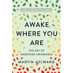 Awake Where You Are: The Art of Embodied Awareness