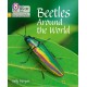 Beetles Around the World: Phase 5 Set 4