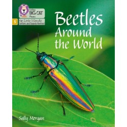 Beetles Around the World: Phase 5 Set 4