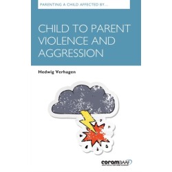 Parenting A Child Affected By Child To Parent Violence And Aggression