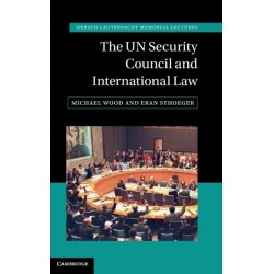 The UN Security Council and International Law