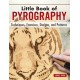 Little Book of Pyrography: Techniques, Exercises, Designs, and Patterns