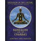 Kundalini & the Chakras: Evolution in this Lifetime