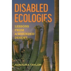 Disabled Ecologies: Lessons from a Wounded Desert