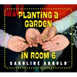 Planting a Garden in Room 6: From Seeds to Salad