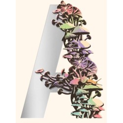 Ambergris: City of Saints and Madmen- Shriek: An Afterword- Finch