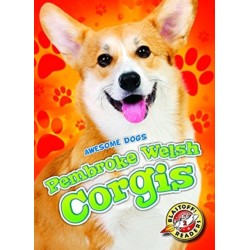 Pembroke Welsh Corgis