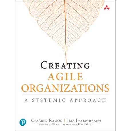 Creating Agile Organizations: A Systemic Approach