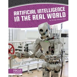 Artificial Intelligence in the Real World