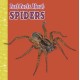 Fast Facts About Spiders