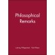 Philosophical Remarks