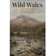 Wild Wales